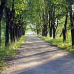 Bulimie besiegen mit Hypnose: Was sind die Vorteile der Therapie?