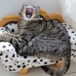 Hypnose als Therapie bei Burnout: Wie mentaler Druck gelöst werden kann