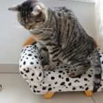 Mehr Zeit für sich selbst: Wie Hypnose bei der Work-Life-Balance helfen kann