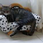 Hypnose als wirksame Methode zur Überwindung von Burnout