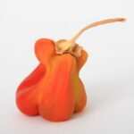 Einzigartige Betreuung: Individualität als Schlüssel zum Erfolg