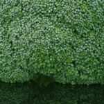 Tipps zur Gewichtsstabilisierung – Wie Sie langfristig Ihr Idealgewicht halten