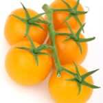 Die Macht der Gedanken: Wie Sie Ihr Gewicht durch mentales Training nachhaltig reduzieren