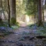 Selbstheilung durch Hypnose: Ein Weg aus dem Burnout-Tief