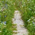 Hypnose als Therapie bei Burnout und Depressionen