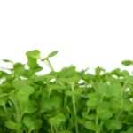 Hypnose statt Skalpell: Eine Alternative zur Magenband-Operation?