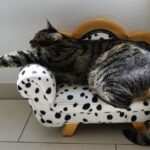 Von Burnout zur Resilienz: Wie man Hürden überwindet