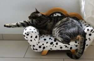 Von Burnout zur Resilienz: Wie man Hürden überwindet