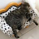 Wie positives Denken bei Burnout hilft