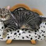 Wege aus dem Burnout: Strategien zur Angstbewältigung