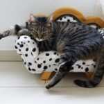 Burnout und Positives Denken – Wie Hypnose den Weg ebnen kann