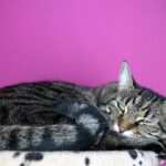 Visualisierungstechniken bei Burnout: Wie sie helfen können