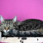 Burnout-Prävention durch Gedankenhygiene: Wie Sie Ihre positiven Gedanken stärken