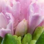 Gedanken als Heilmittel: Wie Sie Burnout mit der Kraft der Gedanken besiegen können