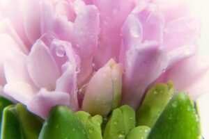 Gedanken als Heilmittel: Wie Sie Burnout mit der Kraft der Gedanken besiegen können