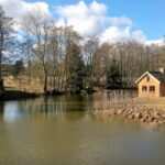 Essstörungen besiegen: Wie Hypnose bei Bulimie helfen kann