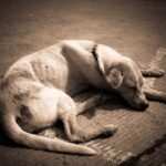 Der Weg zur Heilung: Erfolgreiche Bulimie-Therapie mit Hypnose