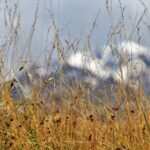 Hypnotherapie bei Bulimia nervosa: Eine vielversprechende Behandlungsoption