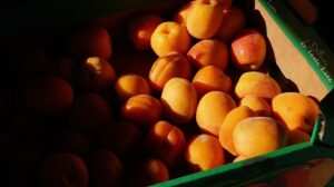 Heißhunger besiegen: Hypnose als Geheimwaffe für Sportler