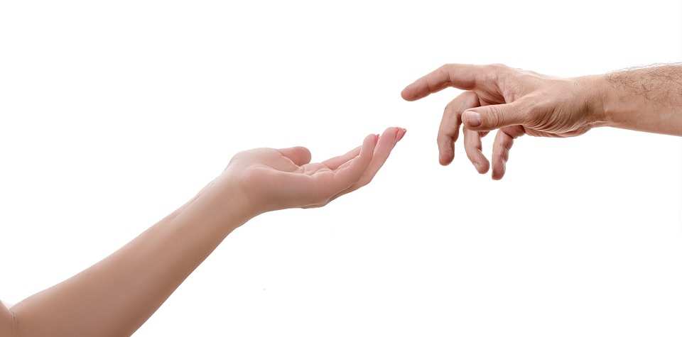 Finger