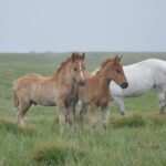Hypnose als Unterstützung auf dem Weg zur Bulimieheilung