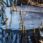 Bulimie ade: Mit Hypnose das Essverhalten langfristig ändern