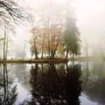 Hypnose als Werkzeug zur Mindset-Optimierung: Erfolgsbeispiele und Tipps