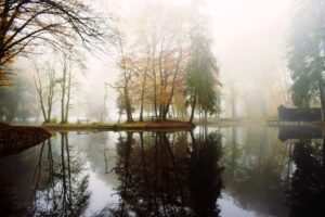 Hypnose als Werkzeug zur Mindset-Optimierung: Erfolgsbeispiele und Tipps