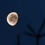 Gesundheit und Wohlbefinden: Wie eine ganzheitliche Betrachtung helfen kann