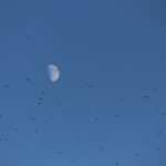 Fett weg mit Hypnose: Abnehmen für Frauen