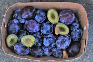 Hypnose-Programme für effektiven Gewichtsverlust