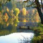 Besser schlafen, entspannter arbeiten: Hypnose als präventive Maßnahme gegen Burnout