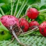 Die Kunst der langfristigen Planung