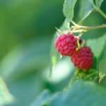 Ganzheitliches Wohlbefinden: Körper, Geist und Seele in Einklang bringen