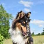 Bulimie-Therapie mit Hypnose: Vor- und Nachteile im Überblick