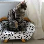 Von der Last zur Lust: Wie die Neudefinition von Prioritäten zu mehr Freude und Leichtigkeit bei Burnout führt