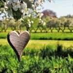 Bulimie behandeln mit Hypnose – ein Erfahrungsbericht.