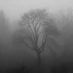 Depressionen überwinden mit Hypnosetherapie: Eine Erfolgsstory.