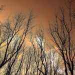 Bulimie besiegen mit Hypnose: Erfolgschancen und Grenzen der Therapie