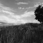 Selbstreflexion leicht gemacht: Wie Hypnose dabei unterstützen kann