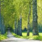 Ein ganzheitlicher Ansatz: Tipps zur erfolgreichen Burnout-Therapie