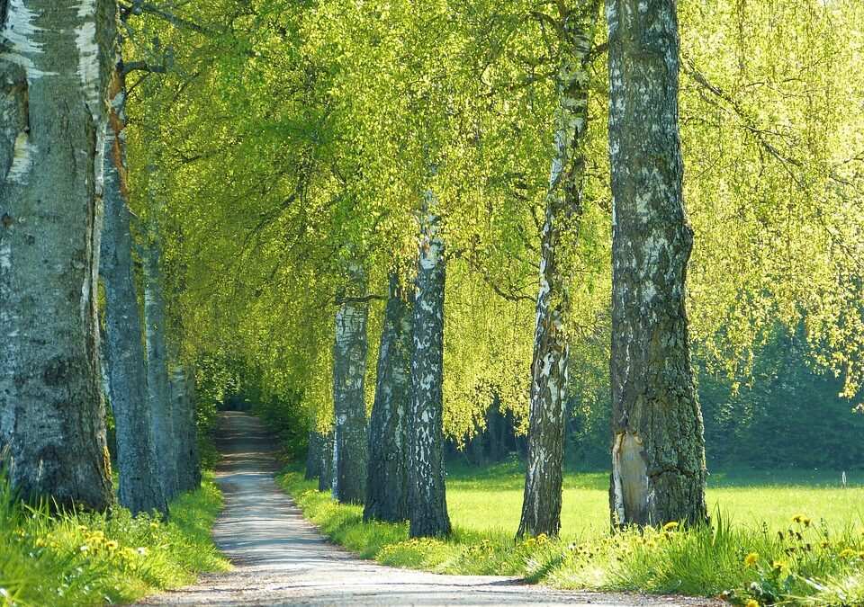 Ein ganzheitlicher Ansatz: Tipps zur erfolgreichen Burnout-Therapie