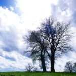 Mentale Entspannung durch Hypnose: Effektive Vorbeugung gegen Burnout