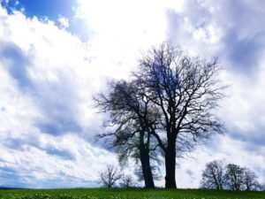 Mentale Entspannung durch Hypnose: Effektive Vorbeugung gegen Burnout