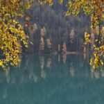 Die Macht der Hypnose: Wie man Bulimie durch gezielte Suggestion bekämpfen kann