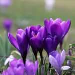 Hypnose gegen Bulimie: Neue Wege der Therapie