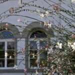 Die heilende Kraft der Trance: Hypnose als wirksame Behandlungsmethode bei Bulimie