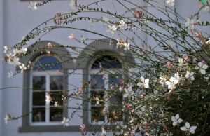 Die heilende Kraft der Trance: Hypnose als wirksame Behandlungsmethode bei Bulimie