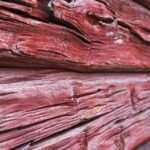 Gewichtsverlust durch Hypnose-Coaching – Warum Frauen ab 50 besonders davon profitieren