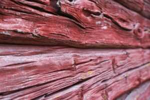 Gewichtsverlust durch Hypnose-Coaching – Warum Frauen ab 50 besonders davon profitieren